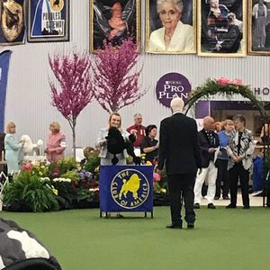 Meet your Posher, Morgan